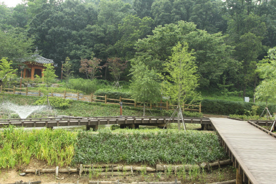 구로구(구청장 이성)가 9일 지역 내 초등학생, 일반인 등 200여 명의 주민과 함께 개봉동 잣절공원 생태연못에서 반딧불이 성충 1500마리를 방사한다. 개구리 200마리, 원앙 2마리도 함께 방사해 잣절지구 일대를 소생물 서식공간으로 만들 계획이다. 구로구 제공